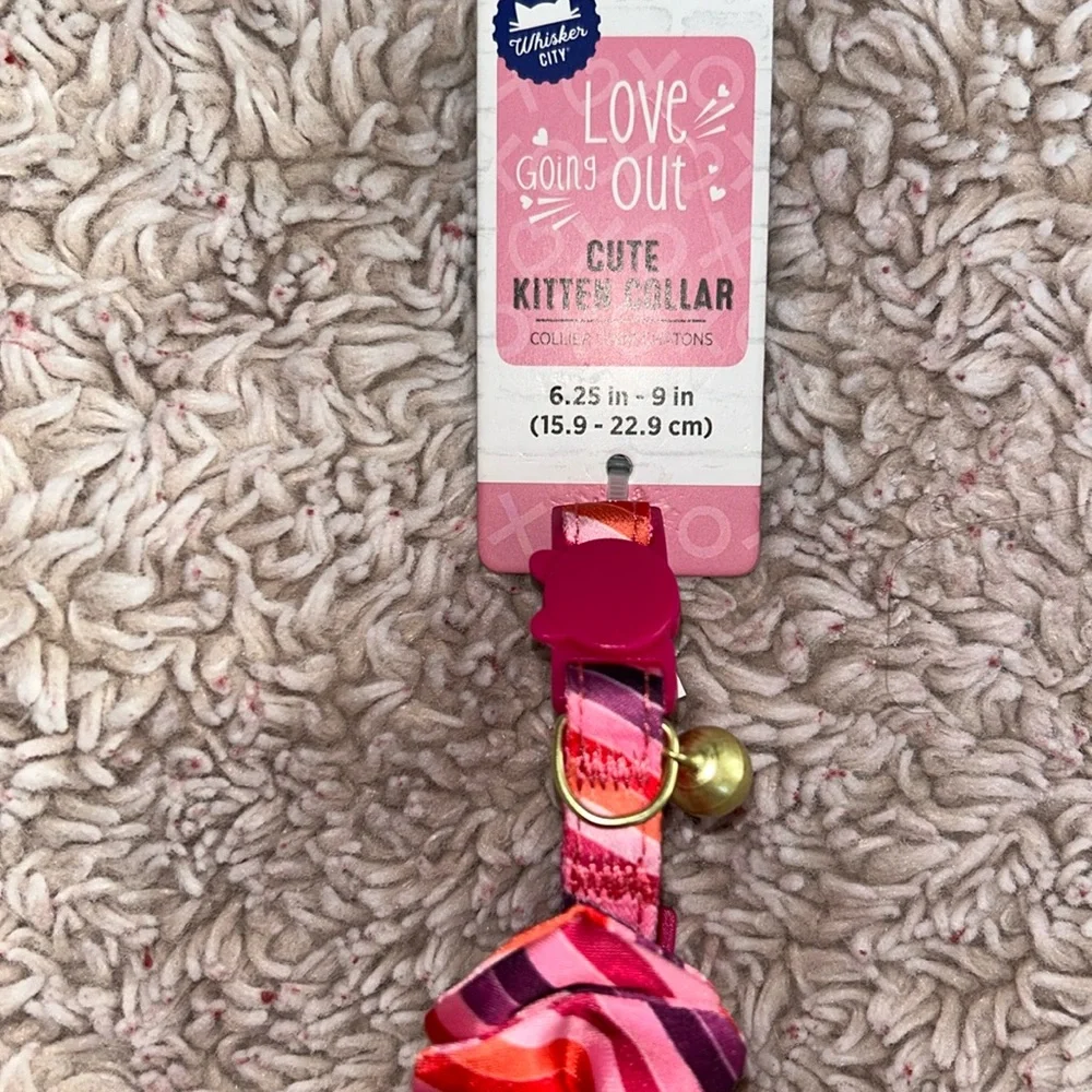 Whisker City Love Going Out Striped Bow Kitten Collar